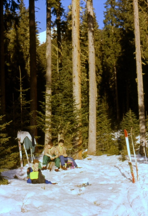 1992 006 V Visdende 02 01.jpg