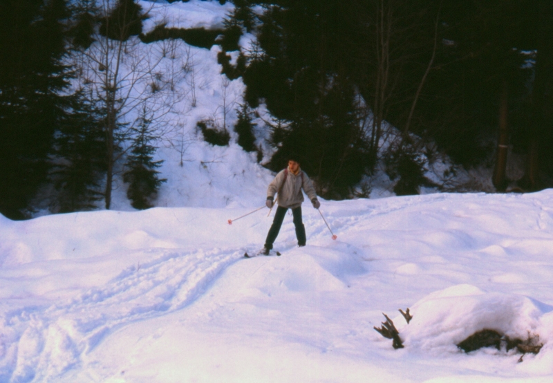 1992 008 V Visdende 02 01.jpg