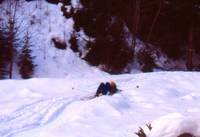 1992 009 V Visdende 02 01.jpg