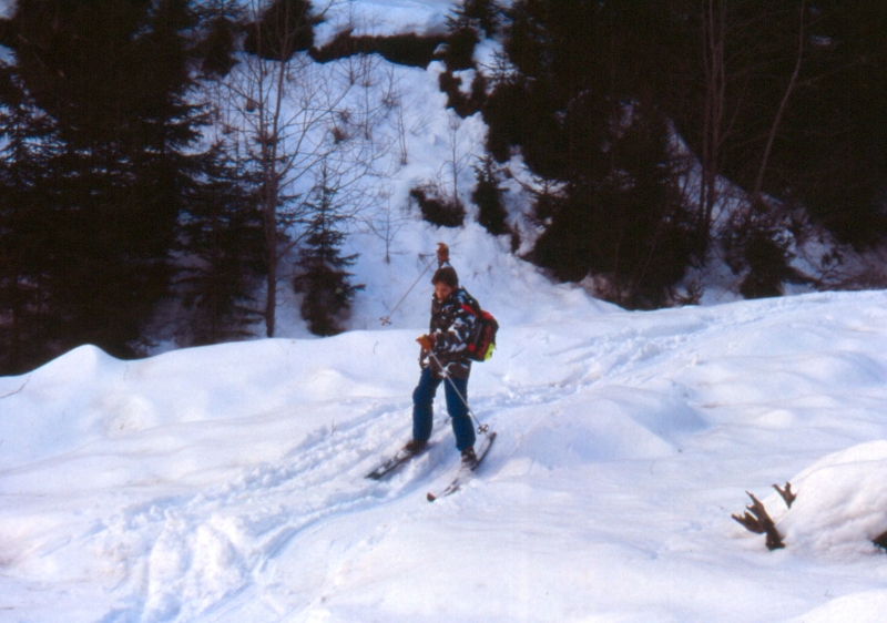 1992 010 V Visdende 02 01.jpg