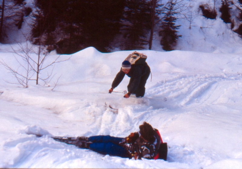 1992 011 V Visdende 02 01.jpg