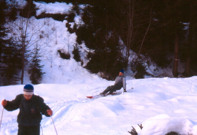 1992 012 V Visdende 02 01.jpg