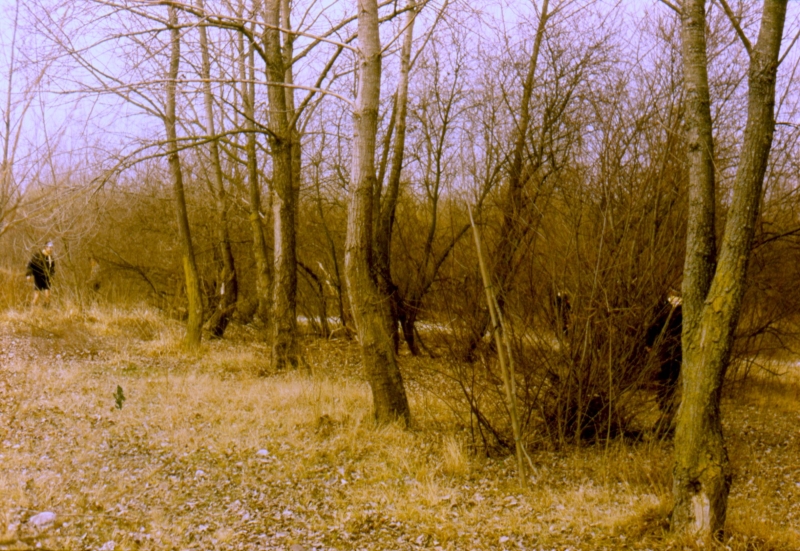 1992 025 Piave 14 03.jpg