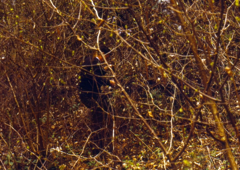 1992 032 Fagarè 04.jpg