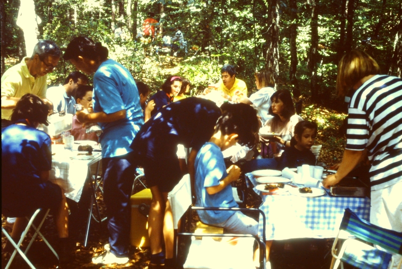 campo guide forni di sopra 2.jpg