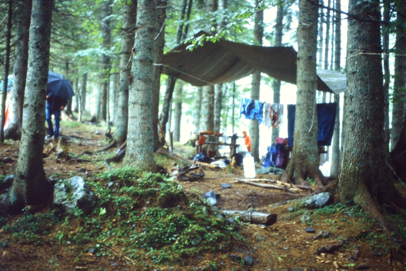 smontaggio campo guide a plokenhaus 7.jpg