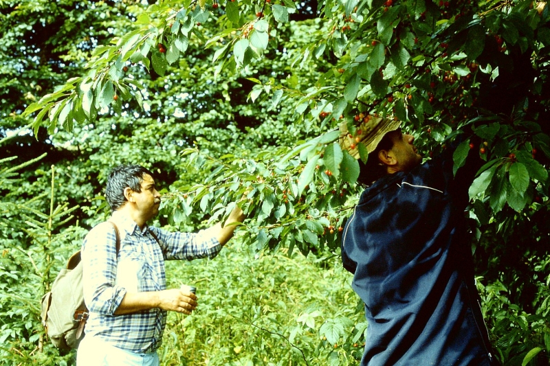 1984 - pizzighera con claudio,giampa, mi e paolino_1.jpg