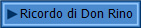 Ricordo di Don Rino