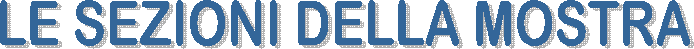 LE SEZIONI DELLA MOSTRA